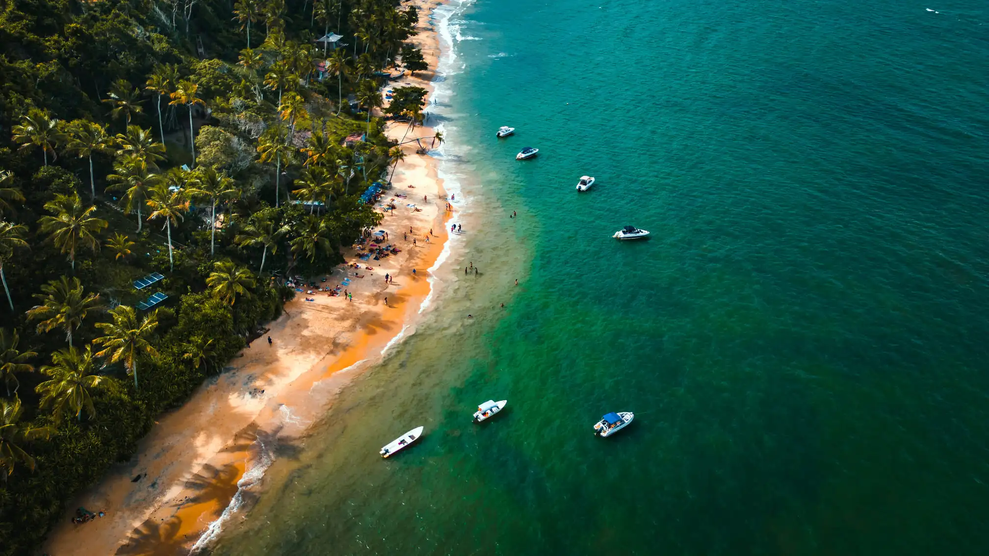 Vista aérea de praia com coqueiros e barcos ancorados